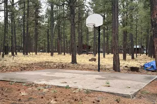 3 Acr 1029 St, Greer, AZ 85927 - Photo 93