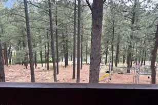 3 Acr 1029 St, Greer, AZ 85927 - Photo 75