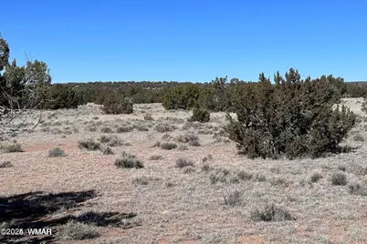 004A N N7204, Saint Johns, AZ 85936 - Photo 5