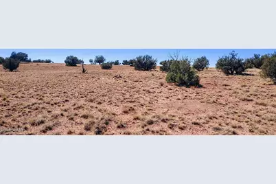 Lot 44 Ranch Of The White Mountains, Concho, AZ 85924 - Photo 7