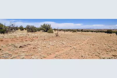 Lot 44 Ranch Of The White Mountains, Concho, AZ 85924 - Photo 5