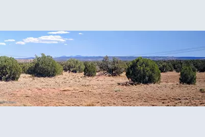 Lot 44 Ranch Of The White Mountains, Concho, AZ 85924 - Photo 3