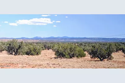 Lot 44 Ranch Of The White Mountains, Concho, AZ 85924 - Photo 1