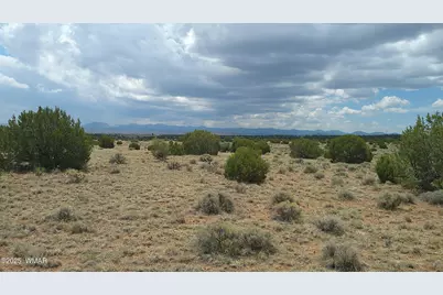Tbd Windsor Valley Ranch Lot 87, Concho Valley, AZ 85924 - Photo 13