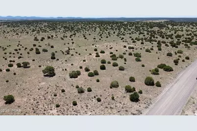 Tbd Windsor Valley Ranch Lot 87, Concho Valley, AZ 85924 - Photo 9