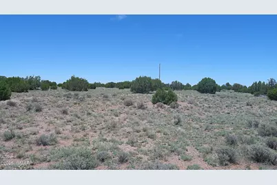 Tbd Windsor Valley Ranch Lot 87, Concho Valley, AZ 85924 - Photo 21