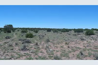 Tbd Windsor Valley Ranch Lot 87, Concho Valley, AZ 85924 - Photo 19