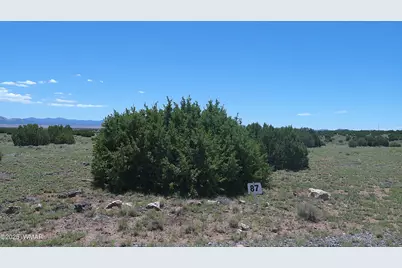 Tbd Windsor Valley Ranch Lot 87, Concho Valley, AZ 85924 - Photo 15