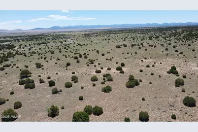 Tbd Windsor Valley Ranch Lot 87, Concho Valley, AZ 85924 - Photo 5