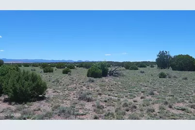 Tbd Windsor Valley Ranch Lot 87, Concho Valley, AZ 85924 - Photo 23