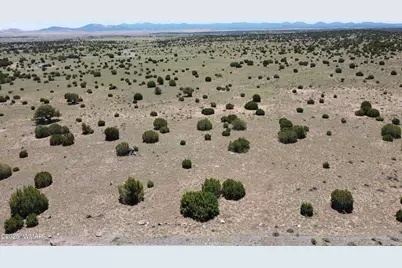 Tbd Windsor Valley Ranch Lot 87, Concho Valley, AZ 85924 - Photo 3
