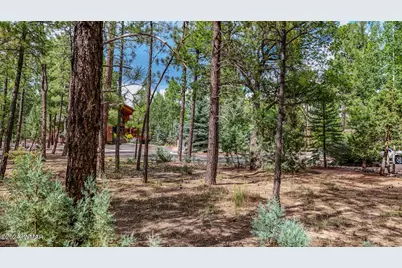 5039 Winter Hawk Court, Lakeside, AZ 85929 - Photo 9