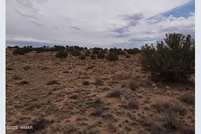 5473 Tbd White Antelope Road, Snowflake, AZ 85937 - Photo 13