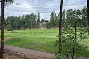 630 S Rockcress Ln, Show Low, AZ 85901 - Photo 11