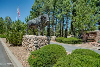 4696 West Tatanka Loop, Show Low, AZ 85901 - Photo 1