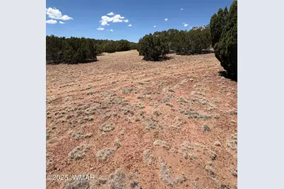 Tbd Lazy O Rd, Show Low, AZ 85901 - Photo 9