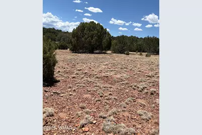 Tbd Lazy O Rd, Show Low, AZ 85901 - Photo 15