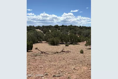 Tbd Lazy O Rd, Show Low, AZ 85901 - Photo 7