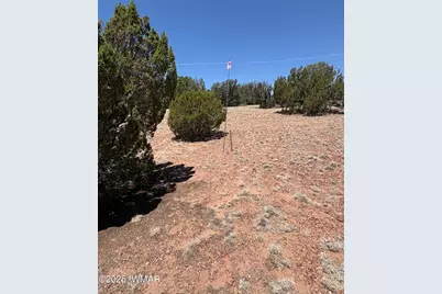 Tbd Lazy O Rd, Show Low, AZ 85901 - Photo 17