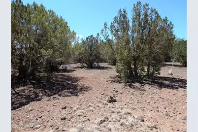 8337 Navajo Drive, Show Low, AZ 85901 - Photo 3