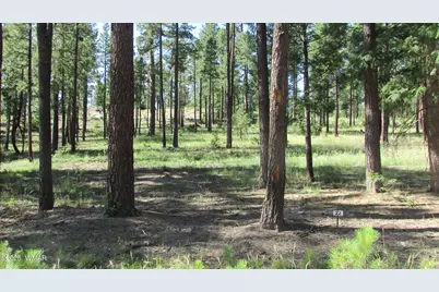 8 County Road 2194, Alpine, AZ 85920 - Photo 5