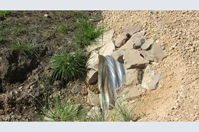 8 County Road 2194, Alpine, AZ 85920 - Photo 7