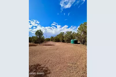 14 County Rd N3573, Vernon, AZ 85940 - Photo 15