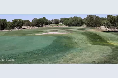 8384 Lake View Drive, Show Low, AZ 85901 - Photo 13