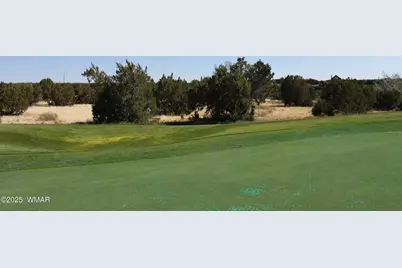 8384 Lake View Drive, Show Low, AZ 85901 - Photo 15