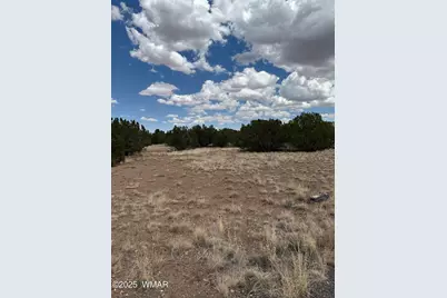 8384 Lake View Drive, Show Low, AZ 85901 - Photo 7