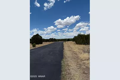 8384 Lake View Drive, Show Low, AZ 85901 - Photo 5