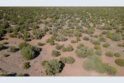 24 County Road 8063, Concho, AZ 85924 - Photo 3