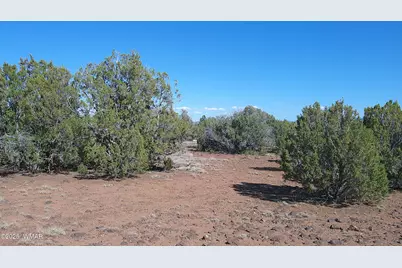 24 County Road 8063, Concho, AZ 85924 - Photo 1