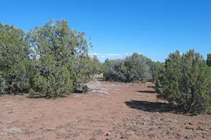 24 County Road 8063, Concho, AZ 85924 - Photo 1