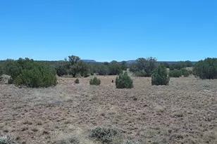 4247 E Pinto Rd, Snowflake, AZ 85937 - Photo 1