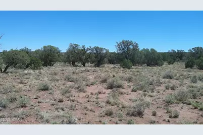 4247 E Pinto Road, Snowflake, AZ 85937 - Photo 15