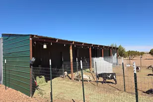 8619 E Juniper Berry Trail, Snowflake, AZ 85937 - Photo 7