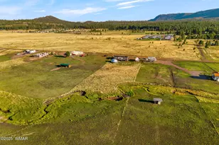 53 Co Rd 2092, Alpine, AZ 85920 - Photo 31