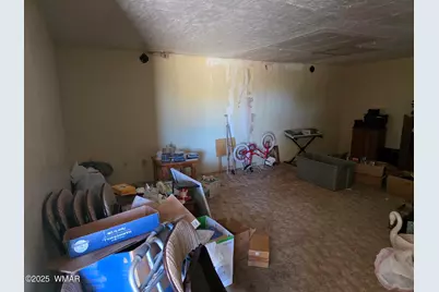 3736 Bum Heel Ranch Road, Snowflake, AZ 85937 - Photo 41