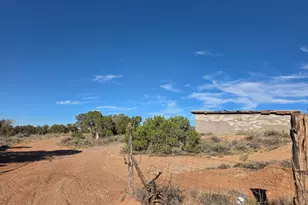 3736 Bum Heel Ranch Rd, Snowflake, AZ 85937 - Photo 5