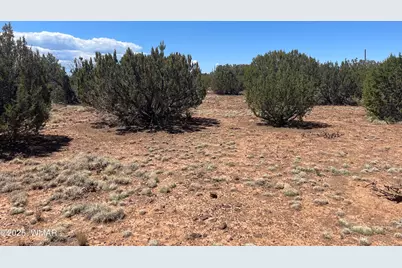 108 Colorado Avenue, Concho, AZ 85924 - Photo 1