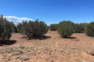 108 Colorado Ave, Concho, AZ 85924 - Photo 1