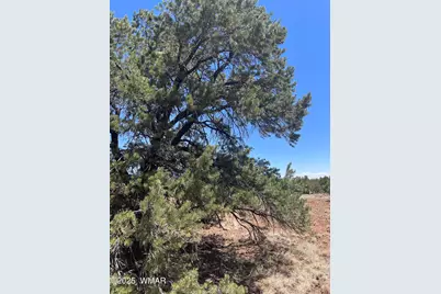 108 Colorado Avenue, Concho, AZ 85924 - Photo 11