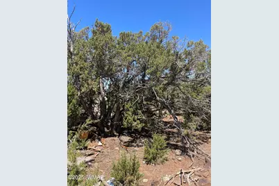 108 Colorado Avenue, Concho, AZ 85924 - Photo 15