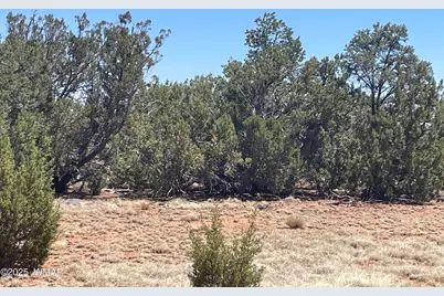 108 Colorado Avenue, Concho, AZ 85924 - Photo 5