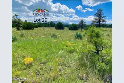 Lot 29 Red Cabin Ranch, Vernon, AZ 85940 - Photo 3