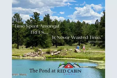 Lot 29 Red Cabin Ranch, Vernon, AZ 85940 - Photo 5