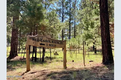Lot 29 Red Cabin Ranch, Vernon, AZ 85940 - Photo 11