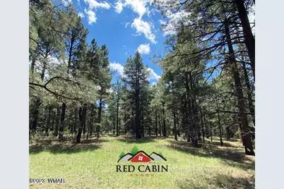 Lot 29 Red Cabin Ranch, Vernon, AZ 85940 - Photo 13