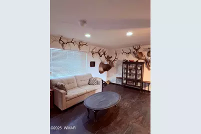 1B County Road 8285, Concho, AZ 85924 - Photo 9